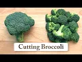 How to Cut Broccoli into Small Florets for Stir-fry Pasta Soup Veggie Tray or Steamed