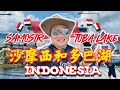 Download Lagu Paradise Found: Samosir's Blissful Retreat on Lake Toba.