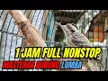 Download Lagu Rekomendasi masteran terbaik burung lomba