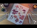 How To Draw Mushrooms In 10 Different Ways Marker Brush Pen Tutorial