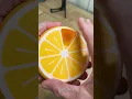 LoopFruit Citrus Pill Organizer