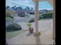 Aus Post Star Track courier throwing package