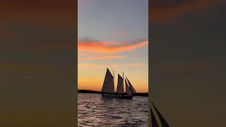 Sunset sailing in NYC!
