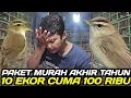 Lagu AWAL HANCURNYA HARGA KERAK BASI ALIS HITAM/SINCAN DIKIOS PASAR BURUNG PRAMUKA HARI INI