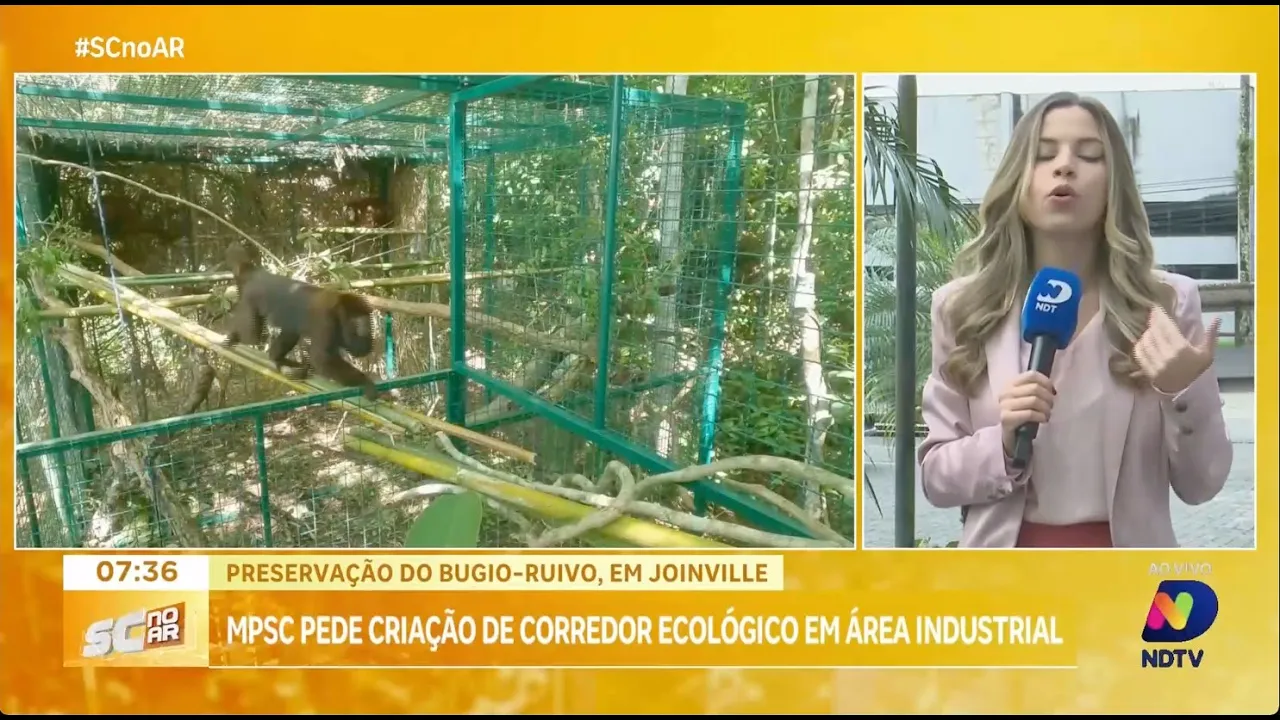 MPSC solicita criação de corredor ecológico em área industrial de Joinville