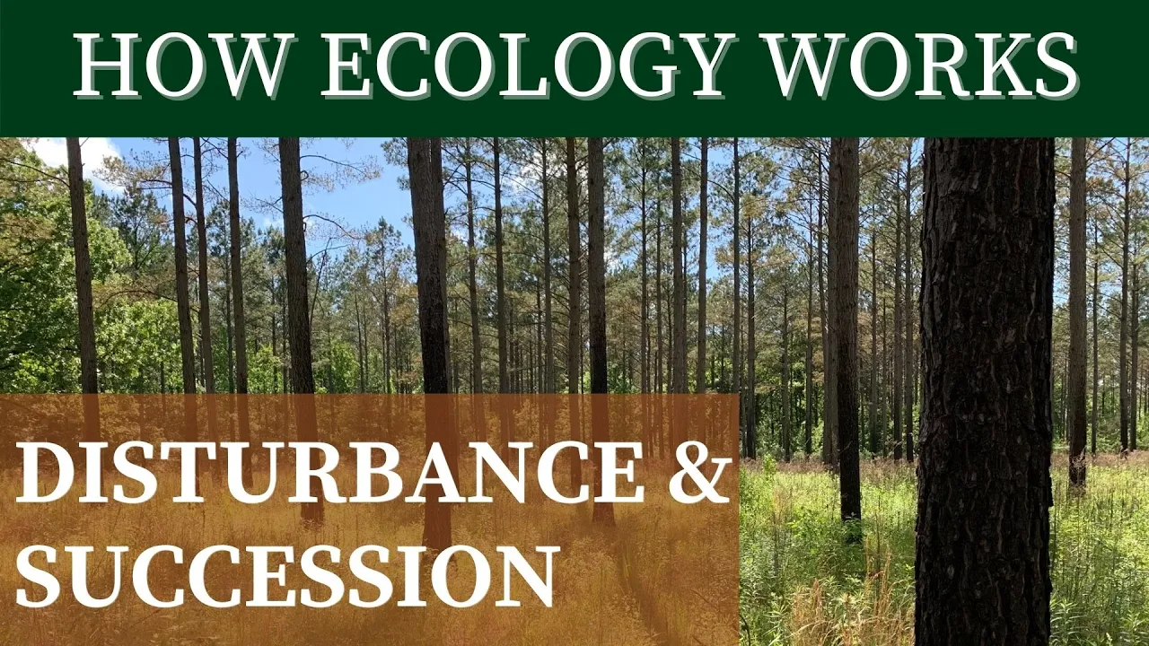 DISTURBANCE & SUCCESSION | How Ecology Works