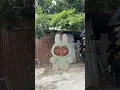 Download Lagu Ambalabu terkuat muncul ,kutukan labubu part 6