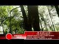 Download Lagu SADIAH _LAGU MINANG CHIKITA MEIDY