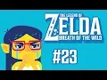 Breath of the Wild Part 23 Purah s Diary More LORE EPISODE
