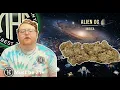 Alien OG Strain Review You Have Lift Off
