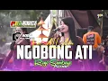 Download Lagu Ngobong Ati  ROGO SAMBOYO PUTRO Voc ALL Artis Live Plemahan