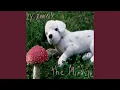 The Miracle