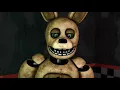 Springbonnie model test