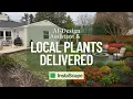 InstaScape The First AI Landscape Tool That Delivers the Plants