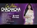 Download Lagu Tuyệt Phẩm Disco Nhạc Trẻ New Wave 2025 - Biết Tìm Đâu - Lk Disco 8x Chất Lượng Cao Test Loa