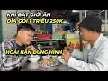 Download Lagu Hoài Hận đứng hình…khi Bát Giới ăn dĩa gỏi 1 triệu 250k