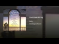 Your Love Is King