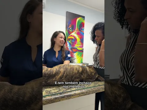 Como identificar câncer de mama em cadela