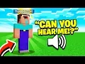 Noob1234 Voice Reveal Minecraft