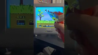 Playing Mario Duck Hunt 