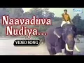 Lagu Naavaduva Nudiya - Gandhada Gudi - Rajkumar - Shivaraj Kumar - Kannada Superhit Song