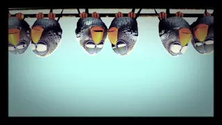 Copy Of Pixar Short Films 7 For The Birds 2000  Copy Of Pixar Short Films 7 For The Birds 2000