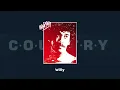 Download Lagu Iwan Fals - Willy | Official Audio