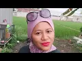 Download Lagu mendung di Selasa pagi