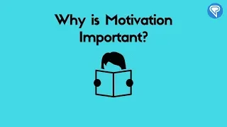 Motivation in Language Learning