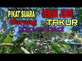 Download Lagu BURUNG TAKUR || PIKAT  DAN MASTERAN SEMUA BURUNG TAKUR