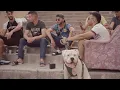 La mass le vrai - DAWI (Official Music Video) | ضاوي