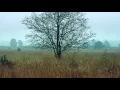 Gallows Tree - BLu ACiD feat John Blake