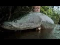 Nuclear disaster Radioactive positive fish are swimming up the coast of California