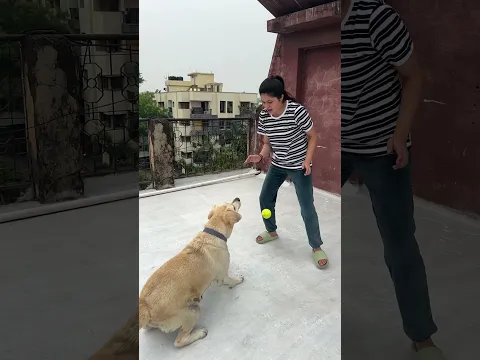 Cute 🐰😘🥰 #shorts #trending #cutebaby #animallovers #shortvideo #viralvideo