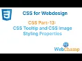 CSS part-13 Web Design Deep Dive Perfecting CSS Tooltips and Image Presentation