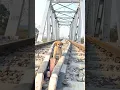 Download Lagu #fasttrains 😭🙏#dog #bebies छोटा पिल्ला ट्रैन की पटरी में फ़स गया हेल्प करो#motivation #respect 👍