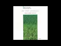 Download Lagu Takatoshi Naitoh (内藤孝敏) - In The Forest (1993) [Full Album]