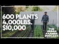 Download Lagu Interplanting Tomatoes For Maximum Profit: The Secret Strategy to $10,000 (S1W11)