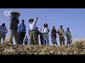 Ethiopia skull discovery raises questions about human evolution