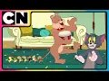 Download Lagu Tom, Jerry 😺🐭 \u0026 Spike Go Wild! 🐾 | National Pet Day 🐶| Cat and Mouse Funny Cartoon | @cnindia