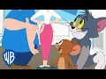 Download Lagu Tom \u0026 Jerry | Tom's Owners - Ginger and Rick | Cartoon Compilation | @wbkids