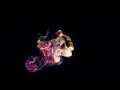 Trapcode Form fluid v2