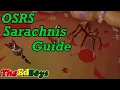 OSRS Sarachnis Guide Old School Runescape How I Fight Sarachnas
