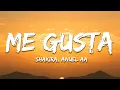 Download Lagu Anuel AA, Shakira - Me Gusta (Letra / Lyrics)
