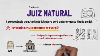 O que é JUIZ NATURAL? | + Princípio da Imparcialidade | PRINCÍPIOS PROCESSUAIS PENAIS