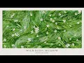 Wild Daisy Meadow 🌼 Relaxing Piano Music for Peaceful Mornings, Study, Sleep & Relaxation