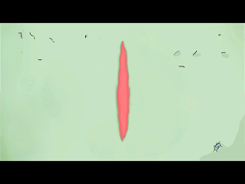 Kohannia (Deep Love) Trailer by: Mykyta Lyskov  Микита Лиськов "Кохання" Трейлер