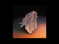 Adriatique - Awakening Machines