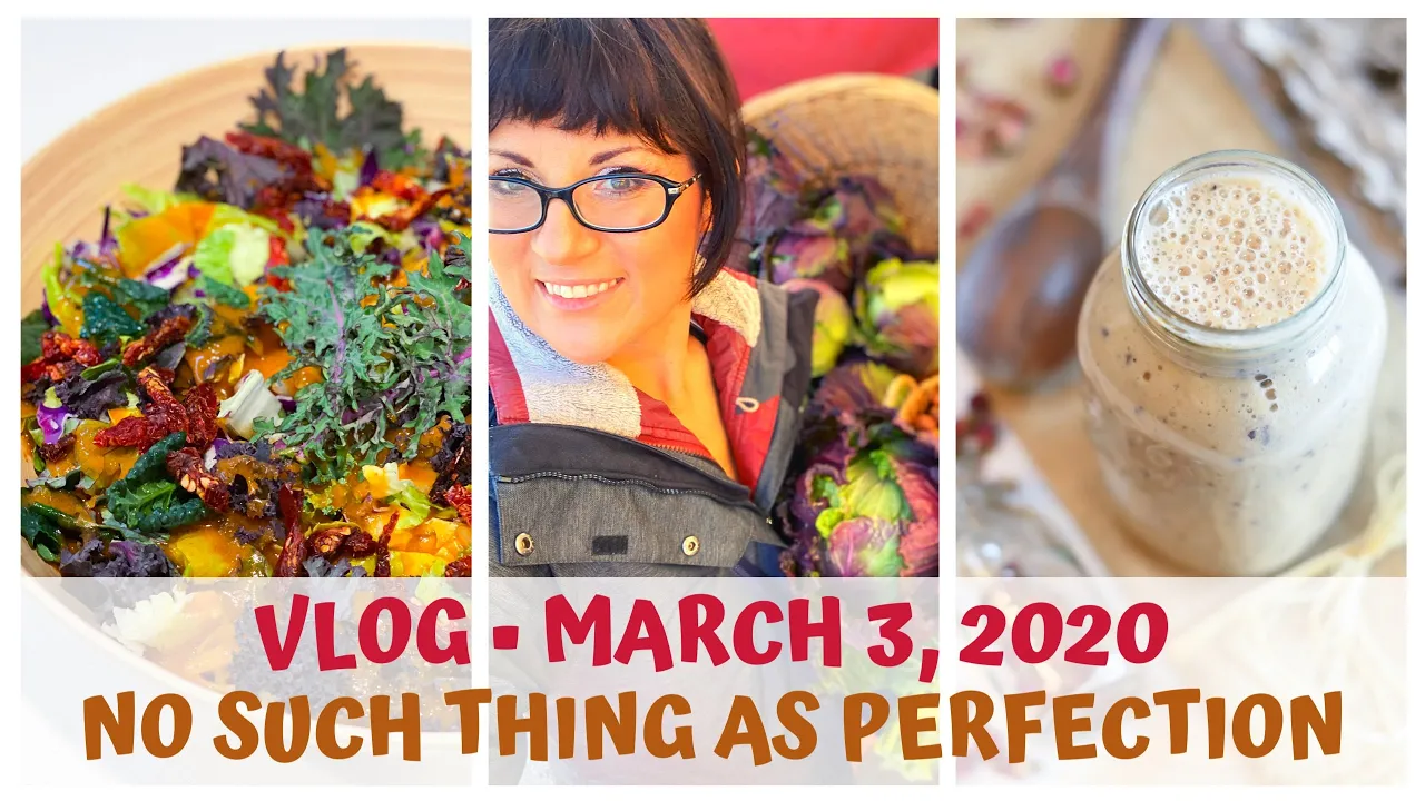 NO SUCH THING AS BEING PERFECT  VLOG  MARCH 3, 2020  RAW FOOD VEGAN