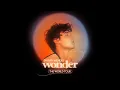 Download Lagu Shawn Mendes Wonder Tour 2022